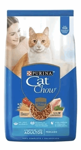 ALIMENTO CATCHOW ADULTO PESCADO 1Kg