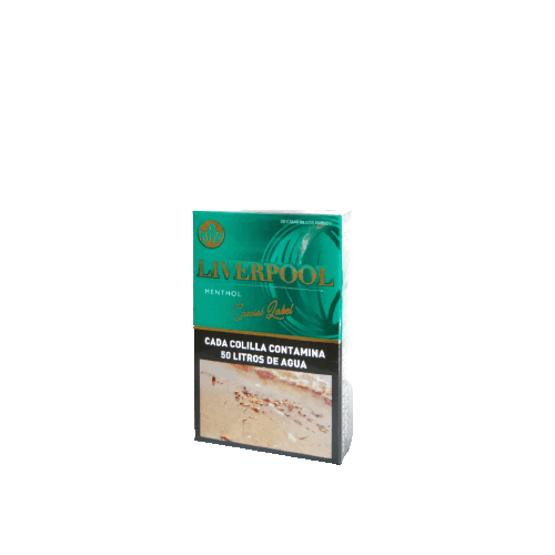 CIGARRILLOS LIVERPOOL MENTHOL x20u x10 ATADOS