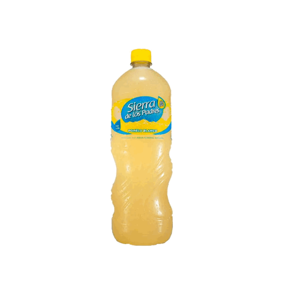 AGUA SAB SIERRA L PADRES POM 500cc x 12u